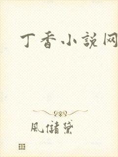 丁香小说网