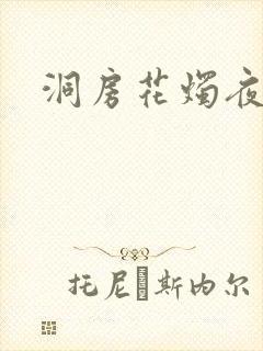 洞房花烛夜小说