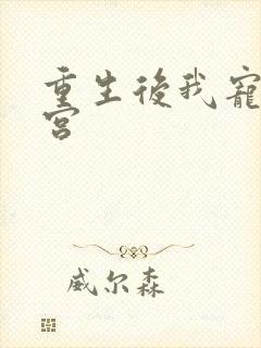 重生后我宠冠东宫