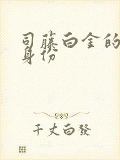 司藤白金的真实身份