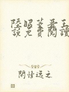 陆昭菱晋王的小说免费阅读