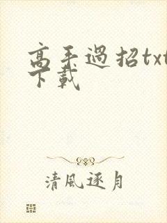 高手过招txt下载