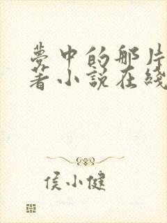 梦中的那片海原著小说在线阅读