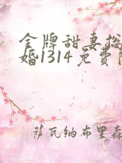 金牌甜妻总裁宠婚1314免费阅读
