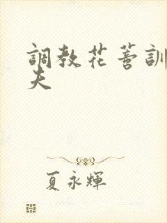 调教花蒂训诫从夫