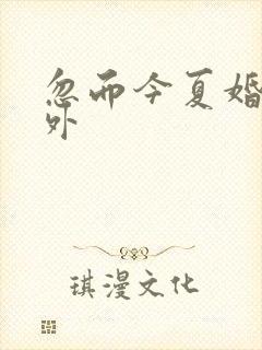 忽而今夏婚后番外