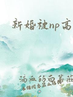 新婚被np高h