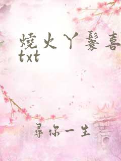 烧火丫鬟喜洋洋txt