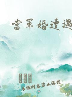 当军婚遭遇爱情