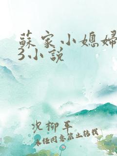 苏家小媳妇1V3小说