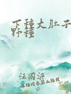 下种大肚子怀孕野种