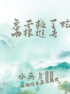 兔子救了蛇被蛇两根进去