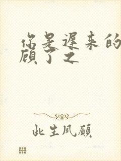 你是迟来的欢喜顾了之