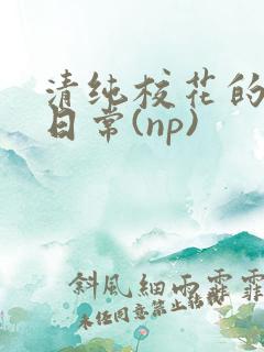 清纯校花的被肉日常(np)