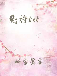 飞将txt
