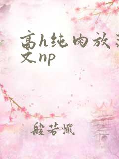 高h纯肉放荡h文np