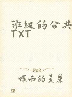 班级的公共玩具TXT