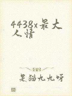 4438x最大人情
