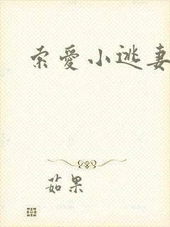 索爱小逃妻
