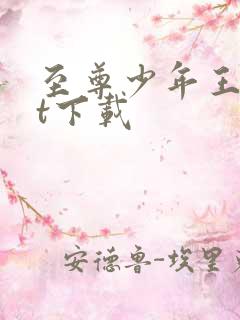 至尊少年王txt下载