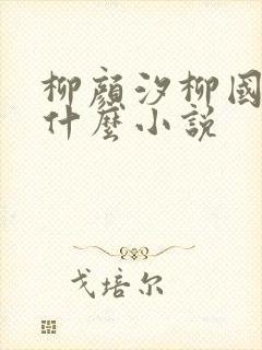 柳颜汐柳国安是什么小说