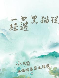 一只黑猫从眼前经过