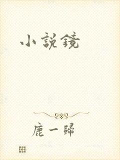 小说镜