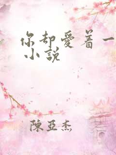 你却爱着一个他 小说