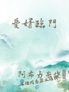 爱婿临门