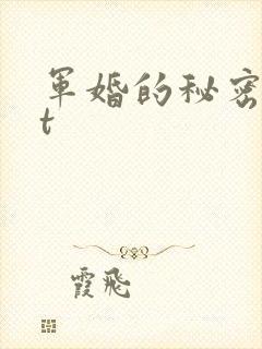 军婚的秘密txt