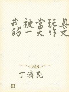 我被当玩具发泄的一天作文