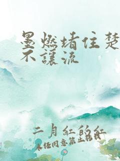 墨燃堵住楚晚宁不让流