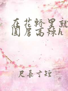 在花轿里就开始圆房高辣h