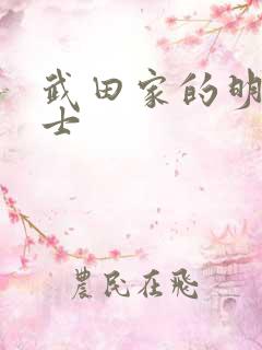 武田家的明国武士