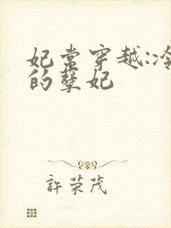 妃常穿越:冷王的孽妃