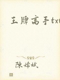 王牌高手txt