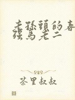 老孙头的春天马强马老二