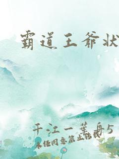 霸道王爷状元妃