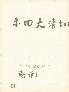 梦回大清txt