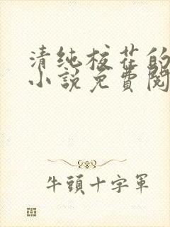 清纯校花的秘密小说免费阅读全文