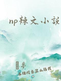np辣文小说