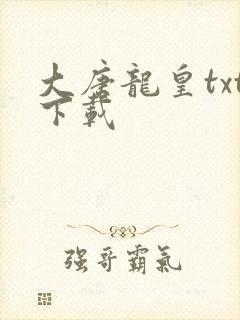大唐龙皇txt下载