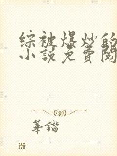 综被爆炒的日常小说免费阅读