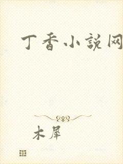 丁香小说网