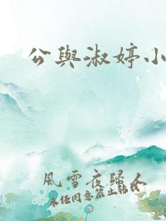 公与淑婷小说