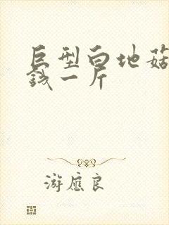 巨型白地菇多少钱一斤