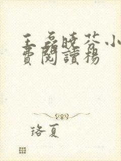 王磊晓芬小说免费阅读杨