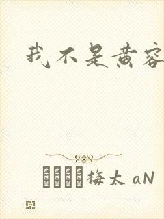 我不是黄容