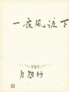 一夜风流下载