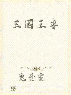 三国王睿